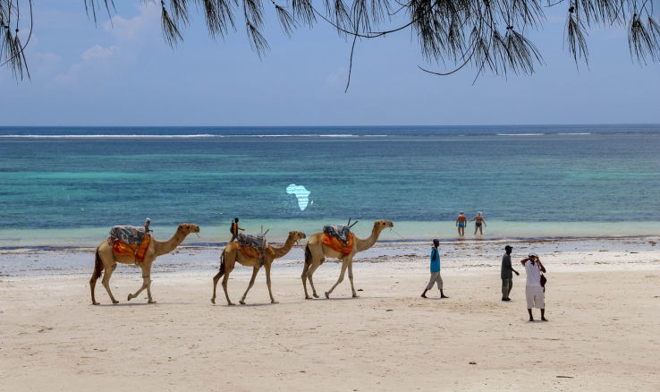 Diani beach camel rides